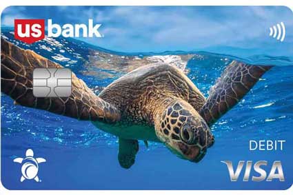 Turtle: Color image of turtle swimming underwater